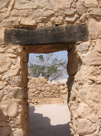 Lone Tree thru Church Door