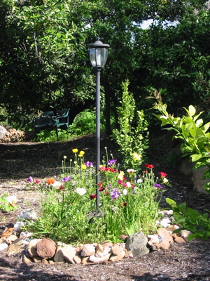 Bulb Garden